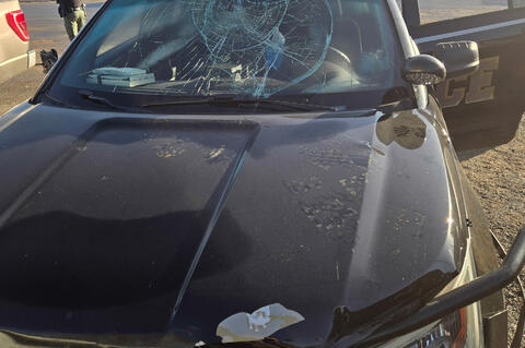 Early Morning Break-In Vandalizes Allen City Office and Vehicle