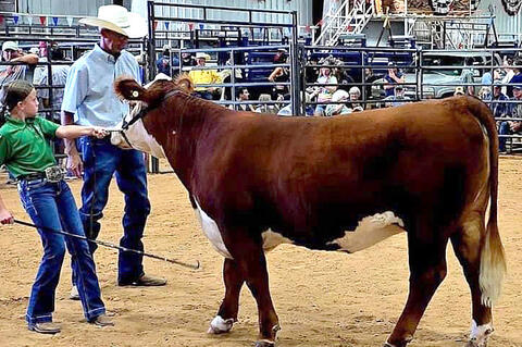 Allen Kids Have Great Showing at Pontotoc County Fair