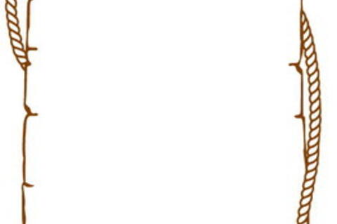 Alt Text for Image