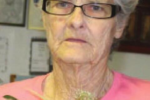 Cecilia Lewis Passes Away