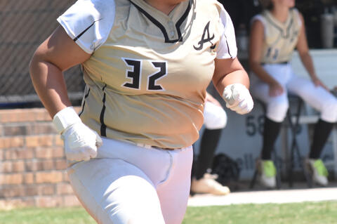 Allen / Calvin Softball Roundup