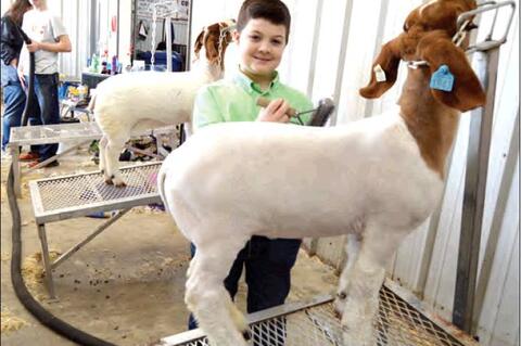 Allen Students do very well at Regional Show