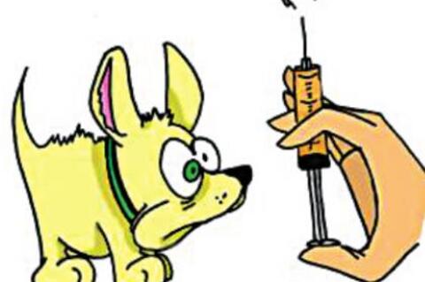 Allen Vet Clinc Slates Rabies shots 
