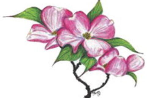 The Easter Legend of the Dogwood