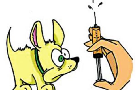 Allen Vet Clinc Slates Rabies shots