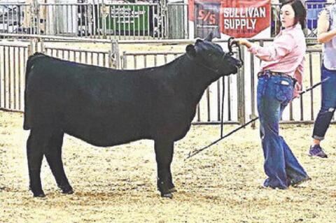 Maycee Howard is new member of American Angus A
