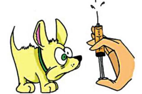 Allen Vet Clinc Slates Rabies shots