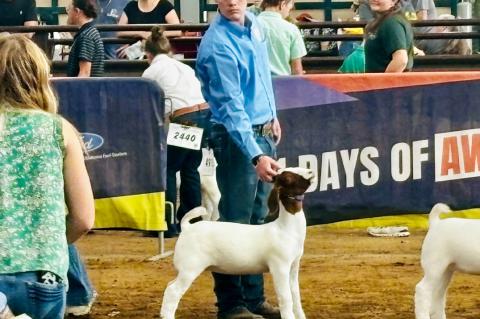 The show team spent 7 days at the Tulsa State Fair last week and a half 