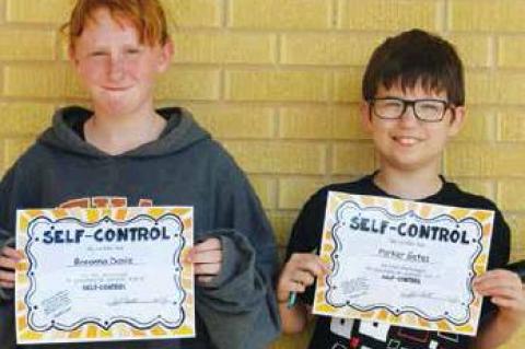 Article Image Alt Text