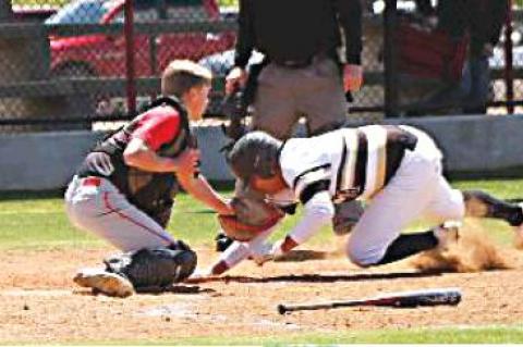 Article Image Alt Text