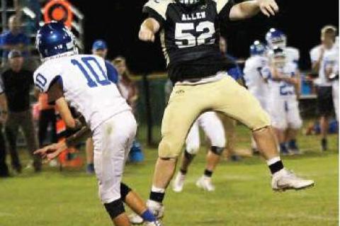 Article Image Alt Text