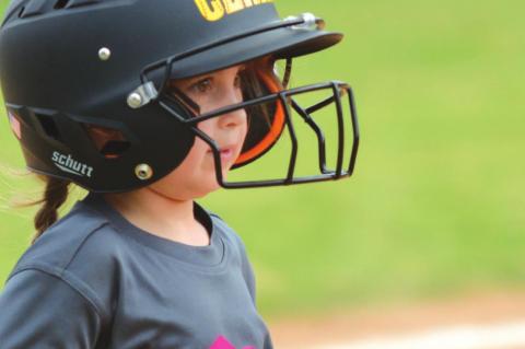 Who Needs Major League Baseball when the Mini Mustangs are on the field?