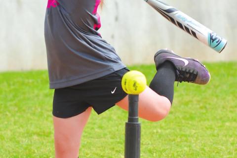Who Needs Major League Baseball when the Mini Mustangs are on the field?