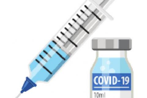 Looking for a COVID-19 Vaccine?