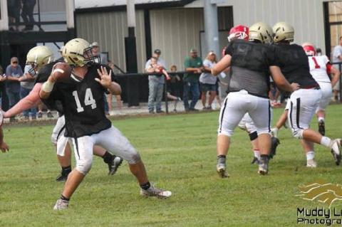 Article Image Alt Text