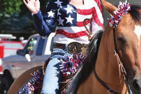 	Independence Celebration In Allen