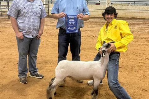 Allen FFA & 4H in County Fair