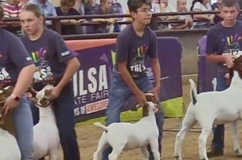 The show team spent 7 days at the Tulsa State Fair last week and a half 