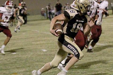 Article Image Alt Text