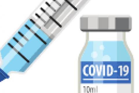 Looking for a COVID-19 Vaccine?