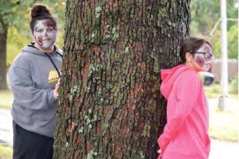 Article Image Alt Text