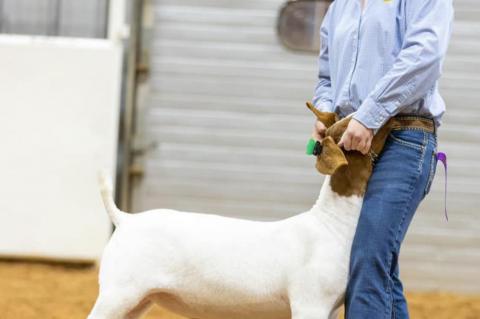 One Pharmacist’s View