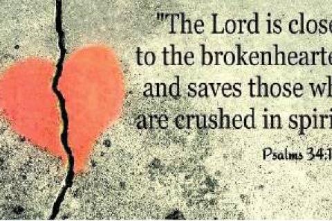 Article Image Alt Text