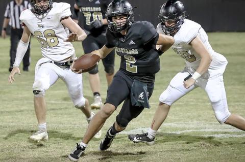 Allen Nutrition Site