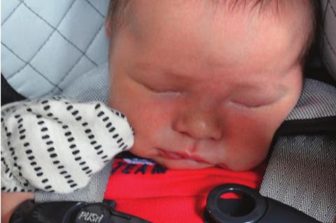 Celebrating the Land That We Love