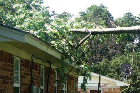 Article Image Alt Text