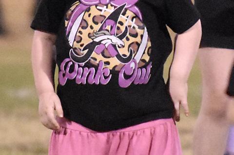 Pink Out Cheer Clinic performance