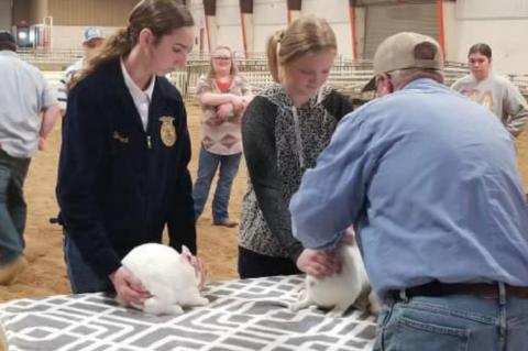 One Pharmacist’s View