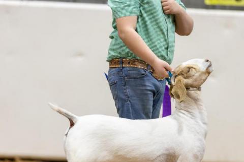 One Pharmacist’s View