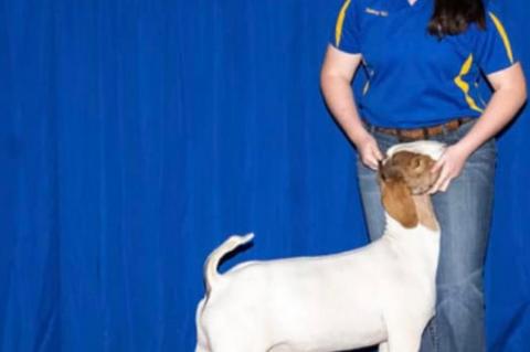 One Pharmacist’s View