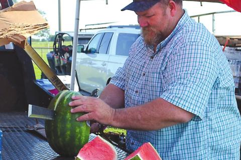 Celebrating the Land That We Love