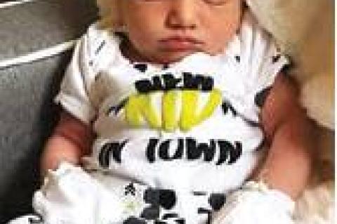 Article Image Alt Text