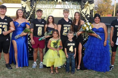 Article Image Alt Text