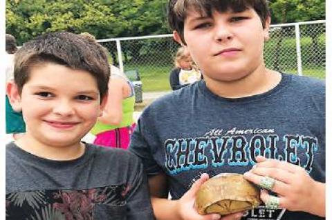 Article Image Alt Text