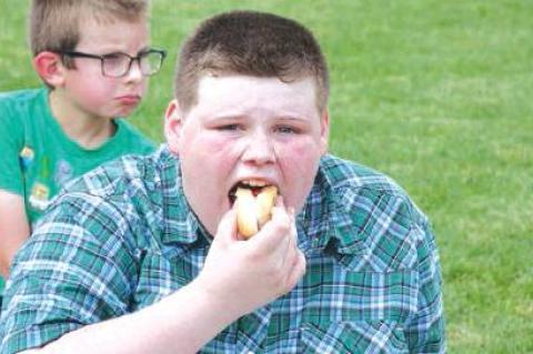 Article Image Alt Text