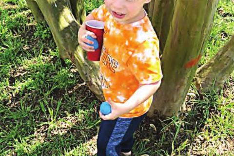 You’ve Been Egged!