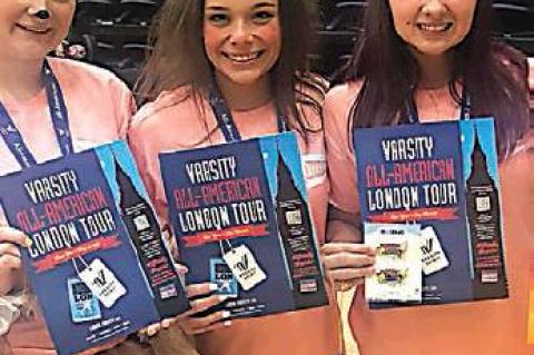 Article Image Alt Text