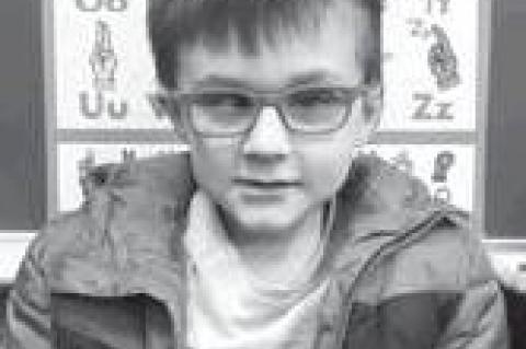 Article Image Alt Text