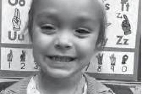 Article Image Alt Text