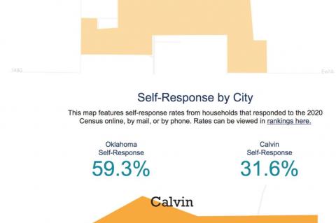 Census Response Rate