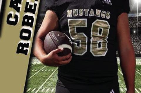 12 Mustangs Earn District Honors